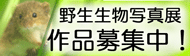 野生生物写真展2016 作品募集1/5〜3/6