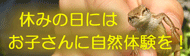 野あそび教室のごあんないへ