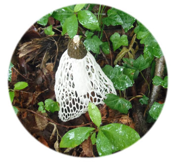 �L�k�K�T�^�P