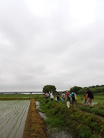 炩T