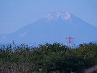 冠雪した富士山