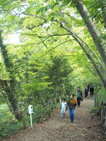 秋の自然観察オリエンテーリング