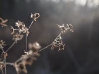 ���i���~�ƖȖ�