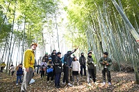 竹を切ろう「門松作り」