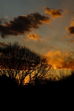 夕暮れ・冬至からひと月