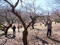 園内管理ボランティア