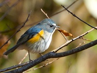 �����r�^�L