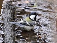 �V�W���E�J��