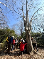 生きもの調べ方講座「地衣類」