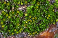 �^�`�q�_�S�P