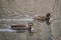 �}���K��