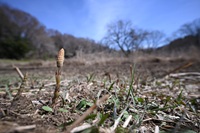 �c�N�V�Ǝ��n�Ɛ�