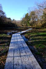 ������ؓ�