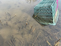 �j�z���A�J�K�G���̗�角���3���