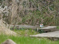 �ؓ����삯��C�^�`