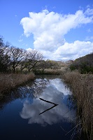 八ツ橋の池にうつる青空と雲