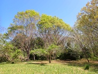 標柱15番の風景