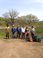 ニホンアカガエル卵塊調査