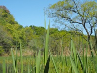 �t�g�l�N�C�n���V