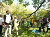 ��Ꭹ�R���񂳂�