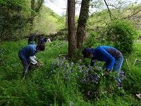 �����Ǘ����