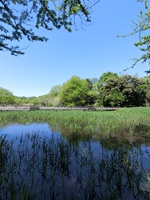 ���c���̒r