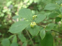 �R�}���~��