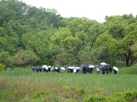 �������s