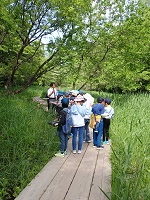 �L�b�Y�������̌�����