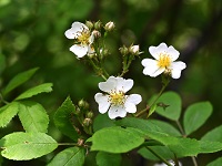 �m�C�o����