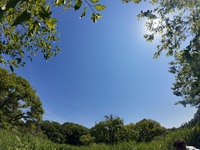 青空