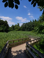 八ツ橋と青空