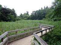 八ツ橋の風景