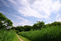 青空