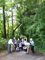 ふるさと北本ウィーク「里山自然かんさつ会」