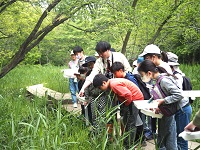 �L�b�Y�������̌������̂ЂƂ���