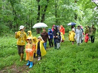 �삠���ы����i�C���[�W�ʐ^�j