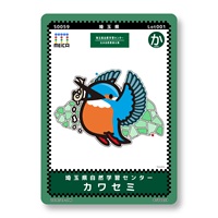 MEICA�i���C�J�j�J���Z�~